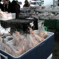 The Ferry Plaza Farmers Market