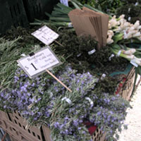 The Ferry Plaza Farmers Market