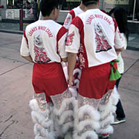 Chinatown, White Crane Kung Fu