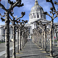 San Francisco City Hall