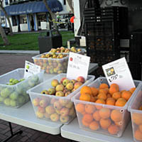 Heart of the City Farmers Mark
