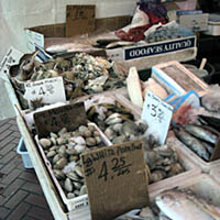 Heart of the City Farmers Mark