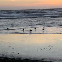 Pacific Ocean