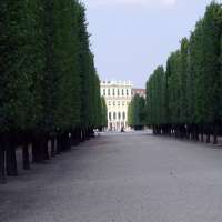Schönbrunn - alejka