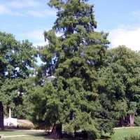 Park Sanssouci