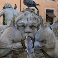 Fontana del Moro