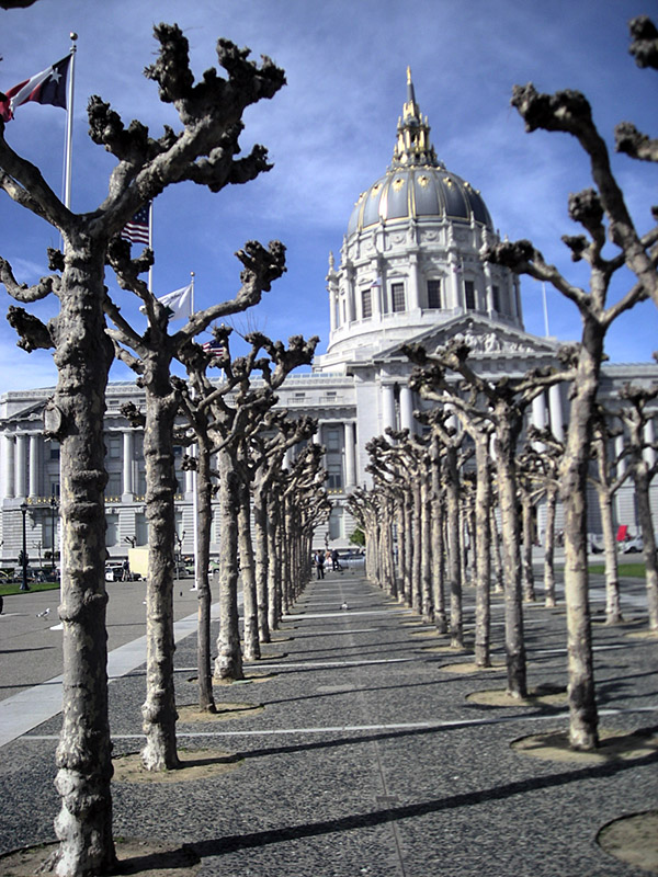 San Francisco City Hall