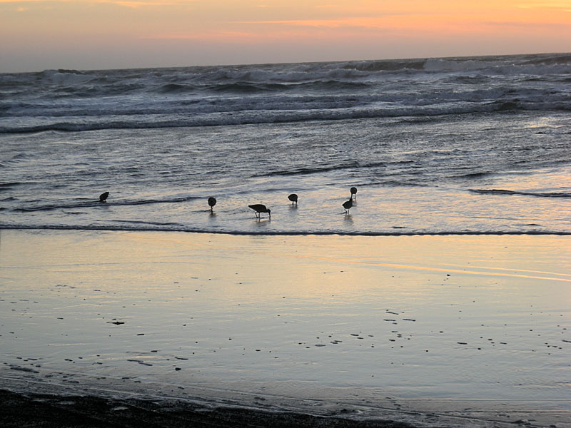 Pacific Ocean