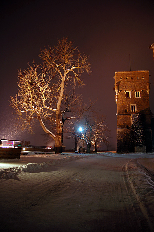 Wawel, Baszta Złodziejska