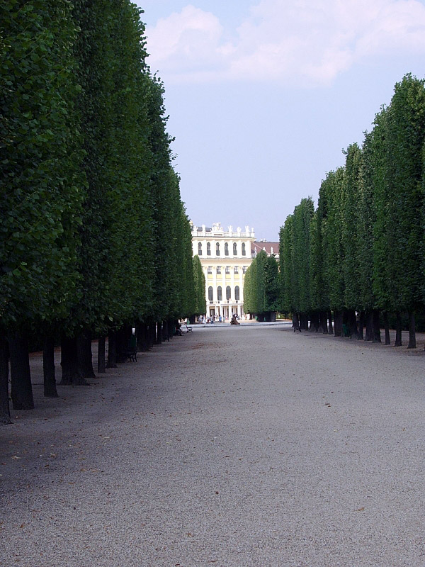 Schönbrunn - alejka