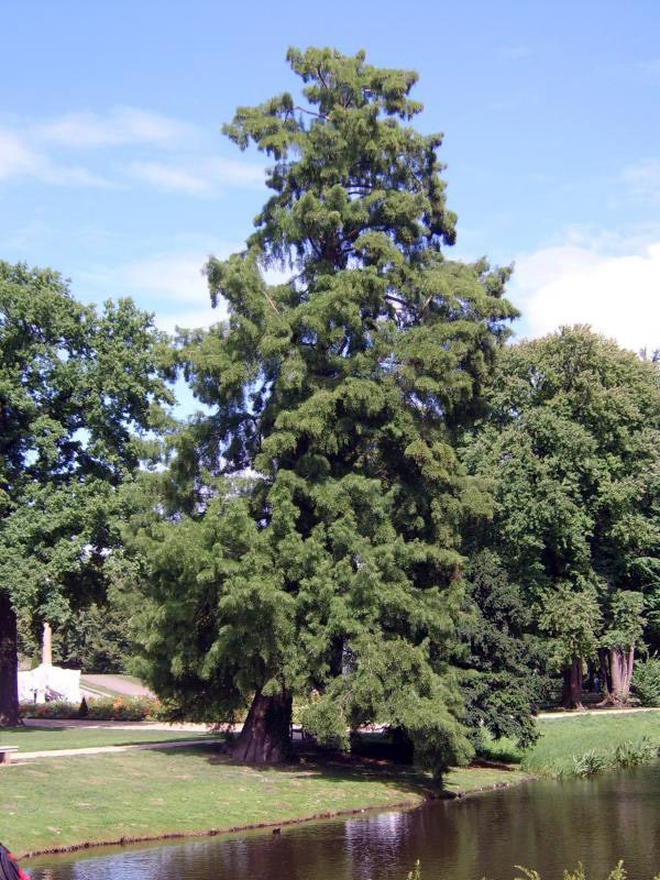 Park Sanssouci