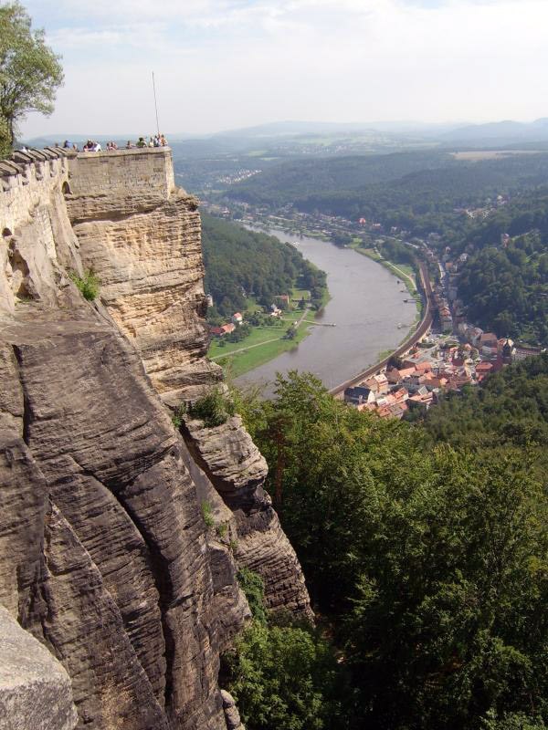 Königsnase