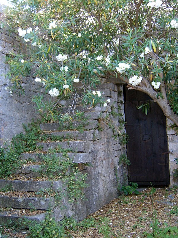 Vrboska
