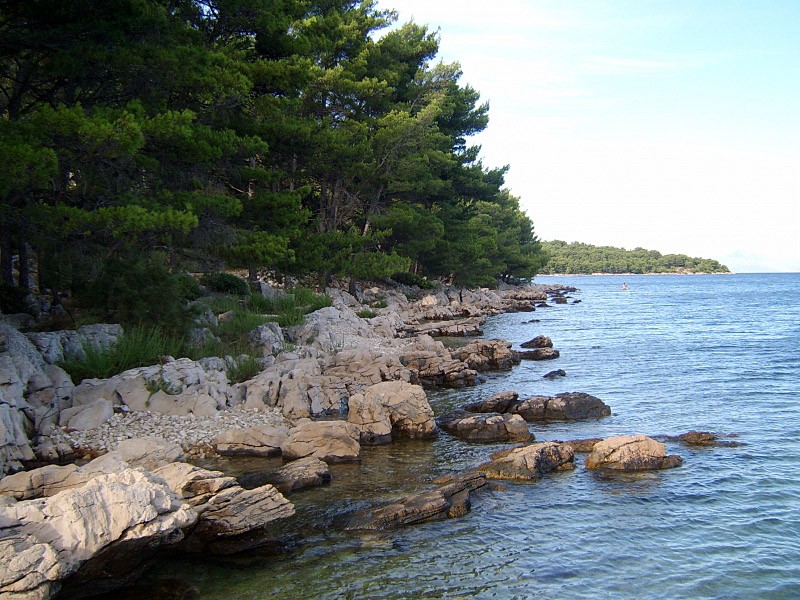 Vrboska