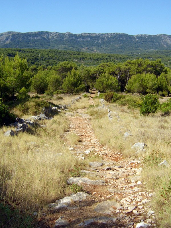 Vrboska, Kaštilac