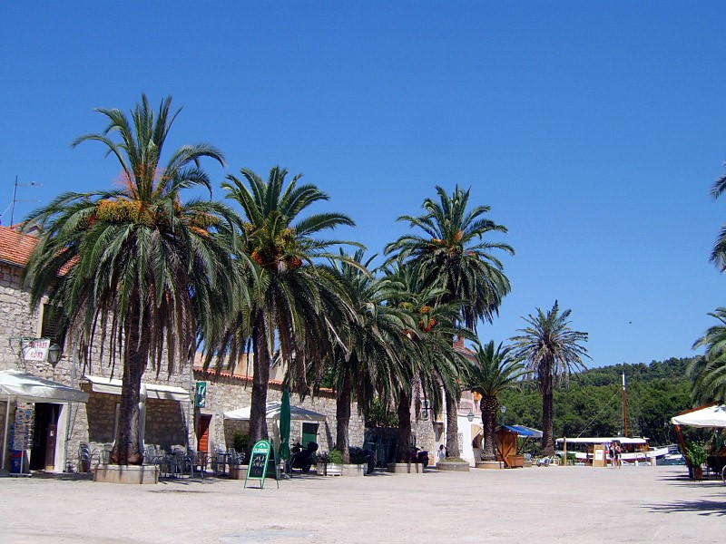 Trg Tvrdalj, Stari Grad