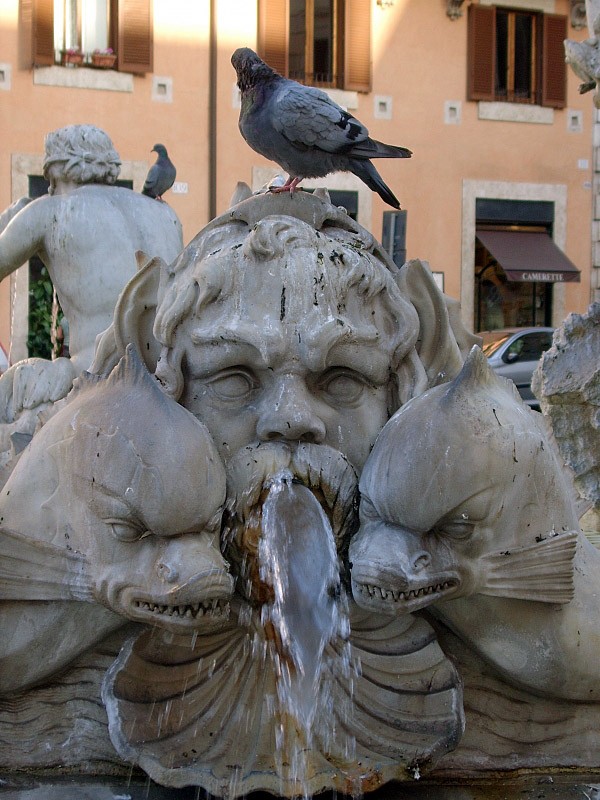 Fontana del Moro