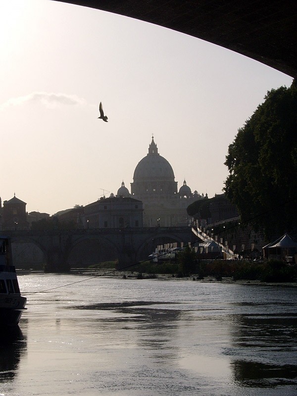 Basilica di San Pietro in Vaticano