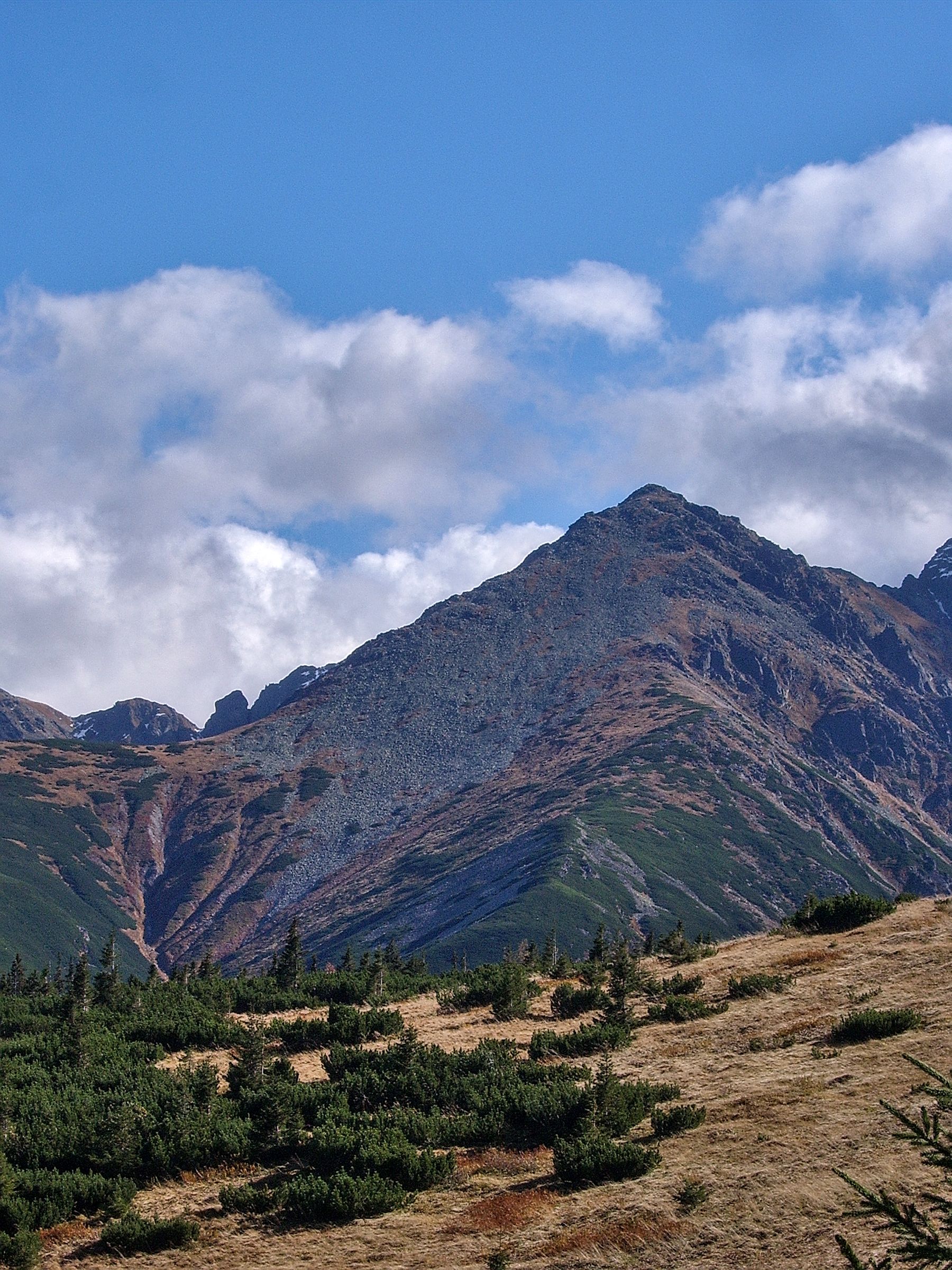 Tatry, Żółta Turnia