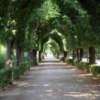 Schönbrunn - ogród