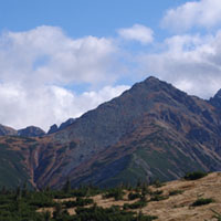 Tatry, Żółta Turnia